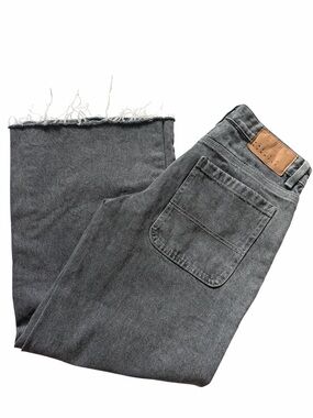 Pacsun Casey Low Rise Baggy